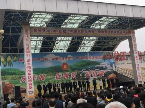 促增收，助脫貧——雙龍鎮(zhèn)參加全縣消費(fèi)扶貧產(chǎn)品展銷會(huì)，開展經(jīng)營助力打贏脫貧攻堅(jiān)戰(zhàn)